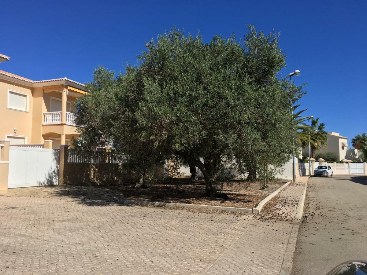 Frente Al Mar - Velazquez Villa Oliva Exterior foto